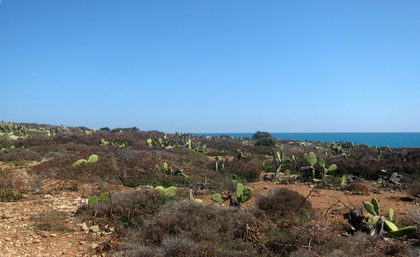 sicilia copertina