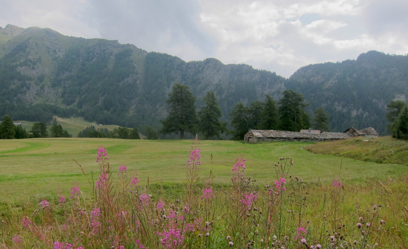 Questa estate in montagna. Ne parliamo con Giacomo Benedetti del  C.A.I.