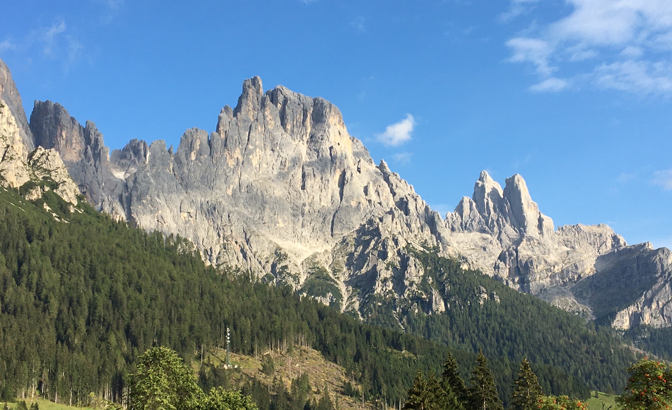 pale di San Martino